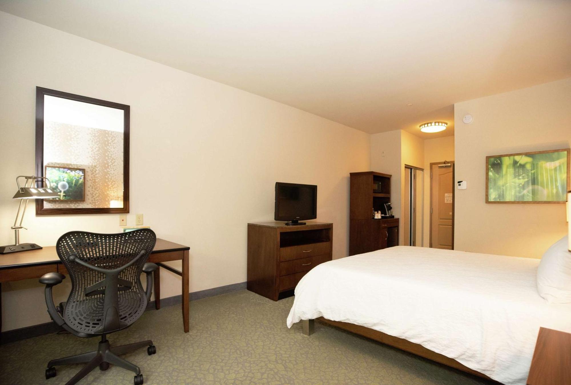 Evolution King Room