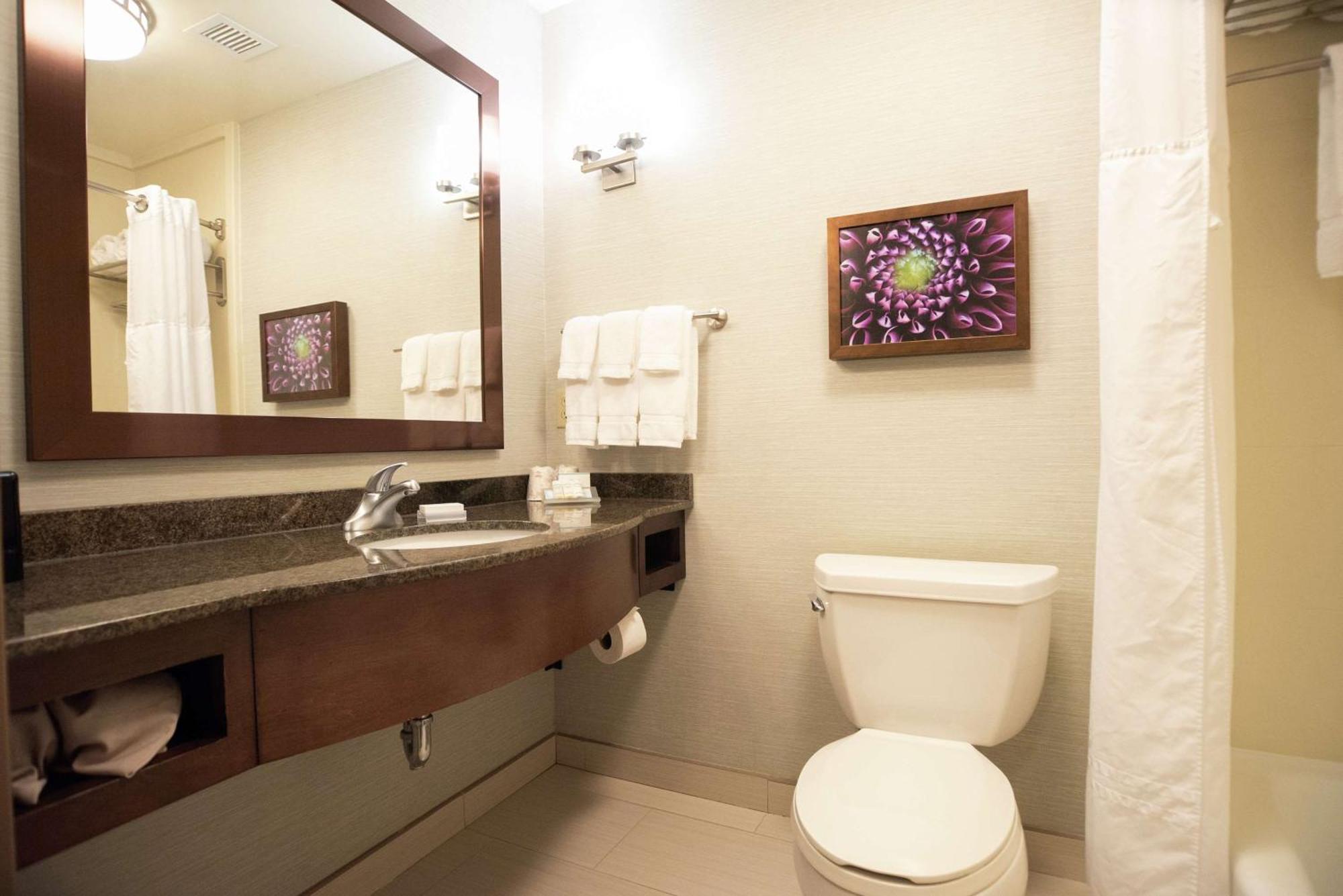 Evolution King Room